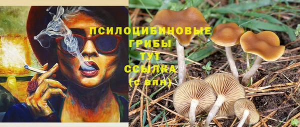 дживик Алексин