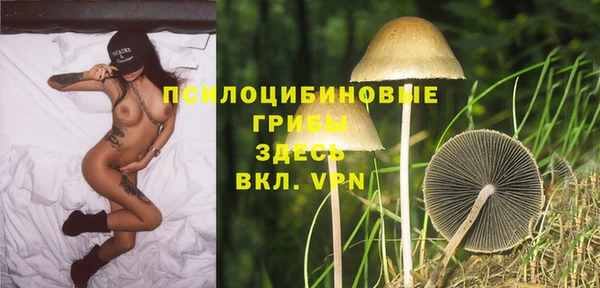 дживик Алексин